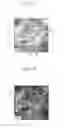 Fig. 04 - Carbon nanotube composite material and process for producing same