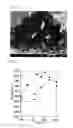 Fig. 06 - R-T-B BASED SINTERED MAGNET AND METHOD FOR PRODUCING SAME