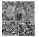 Fig. 01 - Boron nitride and method of producing boron nitride