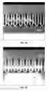 Fig. 06 - Methods for fabricating integrated circuits using flowable chemical vapor deposition techniques with low-temperature thermal annealing