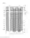 Fig. 06 - Semiconductor memory device and method of manufacturing the same