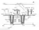 Fig. 01 - Isolated global shutter pixel storage structure