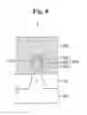 Fig. 09 - Semiconductor device having a fin