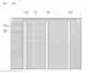 Fig. 22 - Solar cell and method for manufacturing the same, and solar cell module