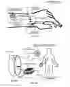 Fig. 80 - Display device