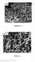 Fig. 06 - Composite Anode Of Lithium-ion Batteries