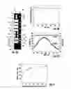Fig. 05 - Paper-based magnesium battery and the use thereof