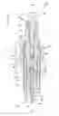 Fig. 01 - Spark plug