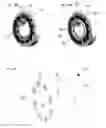 Fig. 09 - Rotor and electrical machine