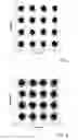 Fig. 07 - NONLINEARITY CANCELLATION IN FIBER OPTIC TRANSMISSION BASED ON FREQUENCY-MUTUALLY-REFERENCED CARRIERS