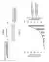 Fig. 06 - Reception apparatus and system