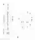 Fig. 04 - Redriver link testing