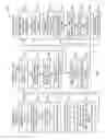 Fig. 05 - Relational encryption for password verification