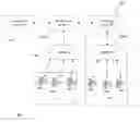 Fig. 01 - Conference call resource assignment for failover