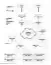 Fig. 02 - Using symmetric and asymmetric flow response paths from an autonomous system