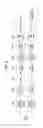 Fig. 09 - Apparatus for transmitting broadcast signals, apparatus for receiving broadcast signals, method for transmitting broadcast signals and method for receiving broadcast signals