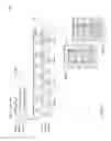 Fig. 17 - Automated service discovery in I.T. environments