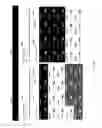 Fig. 210 - Automated service discovery in I.T. environments