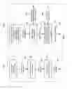 Fig. 06 - Method and device for generating a motion-compensated video frame