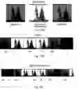 Fig. 30 - Continuous adjustable 3Deeps Filter Spectacles for optimized 3Deeps stereoscopic viewing, control method and means therefor, and system and method of generating and displaying a modified video