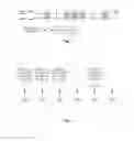 Fig. 02 - Method for depth lookup table signaling