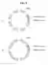 Fig. 09 - Sound output device