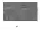 Fig. 02 - Method of placing an antenna of a radio access network (RAN) asset in a wireless communication network