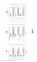 Fig. 09 - Distributed antenna system continuity