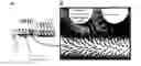Fig. 01 - Multifunctional CNT-engineered structures