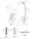 Fig. 02 - DOG RESTRAINING APPARATUS AND METHOD