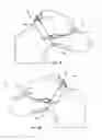 Fig. 08 - DOG RESTRAINING APPARATUS AND METHOD
