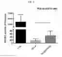 Fig. 06 - Method for manufacturing transgenic caenorhabditis elegans with DNA methyltransferase and use thereof