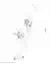 Fig. 55 - Tree stands, ladders, and associated systems and methods