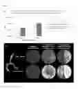 Fig. 02 - Agricultural endophyte-plant compositions, and methods of use