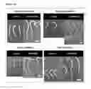 Fig. 07 - Agricultural endophyte-plant compositions, and methods of use