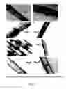 Fig. 05 - Materials and methods for improving immune responses and skin and/or mucosal barrier functions