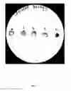 Fig. 03 - Synergy-Based Biocontrol of Plant Pathogens