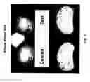 Fig. 02 - Heat-Treated Flour