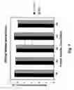 Fig. 08 - Heat-Treated Flour