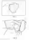 Fig. 02 - METHODS FOR PROCESSING POULTRY THIGHS TO PRODUCE WING-LIKE POULTRY PARTS