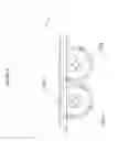Fig. 09 - Sea cucumber processing apparatus and method