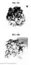 Fig. 02 - Plant-based egg substitute compositions