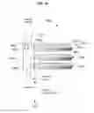 Fig. 17 - Electronic vapor device for simulating a traditional smoking implement