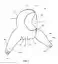 Fig. 07 - Protective apparel and support apparatus and method of use