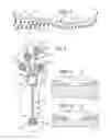 Fig. 08 - Footwear having sensor system
