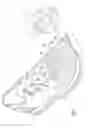 Fig. 09 - FOOTWEAR INCLUDING A TEXTILE UPPER