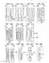 Fig. 25 - Interlocking zipper pull tabs and fastening system