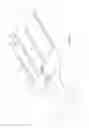 Fig. 03 - COMB WITH LARGE INTERTOOTH SPACING