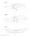 Fig. 04 - Inflatable carrying device of watercraft by person