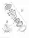 Fig. 02 - Recliner mechanism
